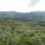 Azienda Agricola Zulin Casa Elena Levanto