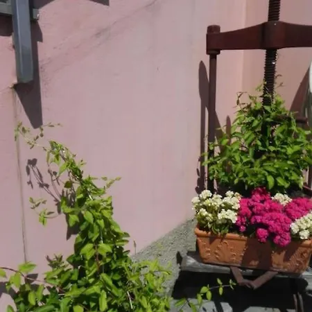 Azienda Agricola Zulin Casa Elena *