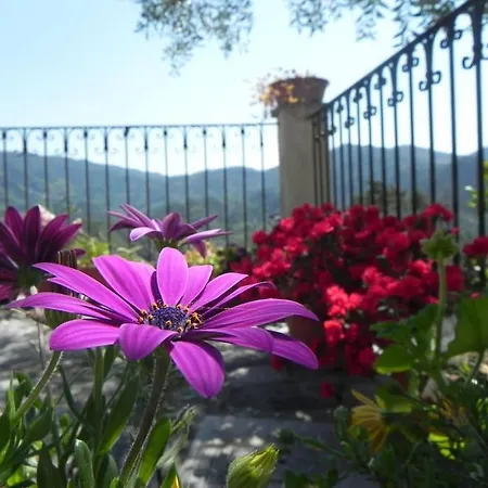 Azienda Agricola Zulin Casa Elena Σπίτι διακοπών Λεβάντο