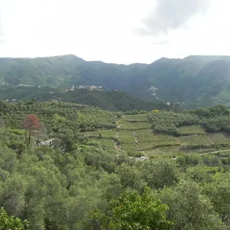 Azienda Agricola Zulin Casa Elena Levanto