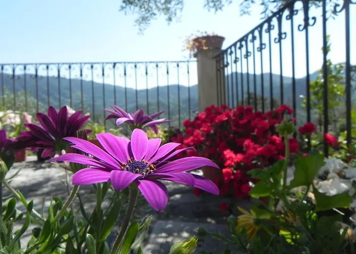Azienda Agricola Zulin Casa Elena 別荘 レヴァント