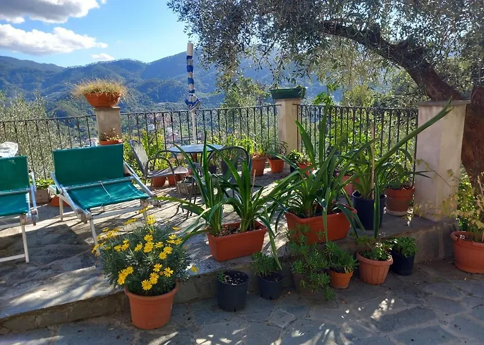 Azienda Agricola Zulin Casa Elena レヴァント