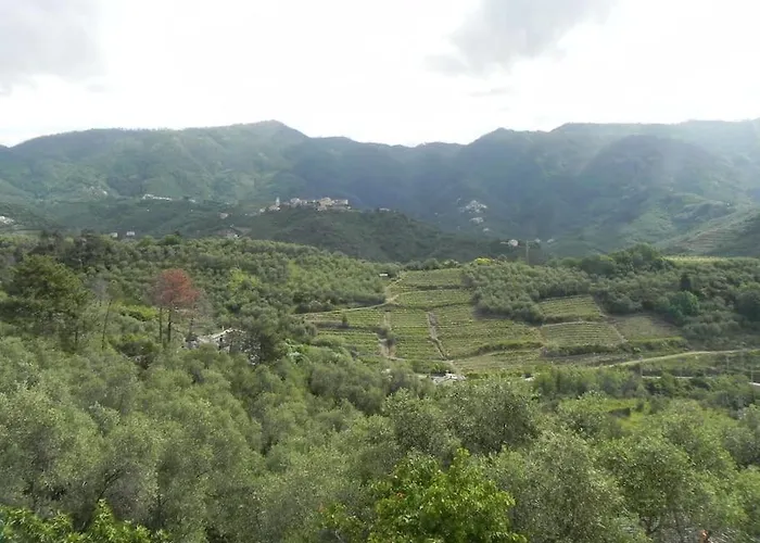 Azienda Agricola Zulin Casa Elena Levanto